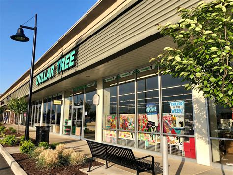 Dollar Tree is one of the only chains that Amazon can't beat — and it