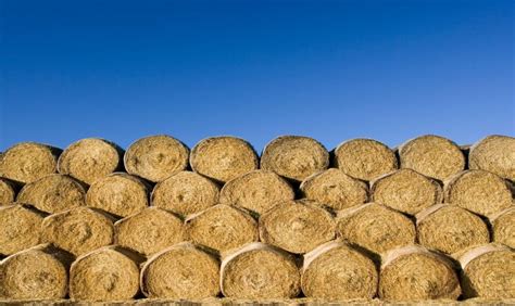 Minimizing Storage Losses Of Round Bale Hay Australian Country Life