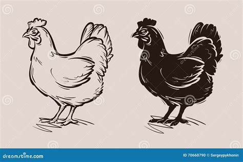 Chicken Vector Logo Farm Poultry Hen Fowl Icon Stock Vector