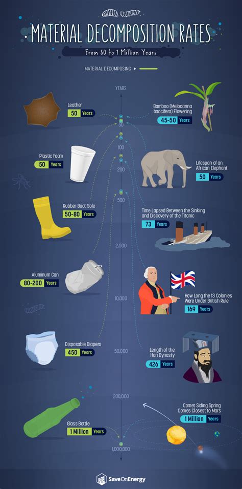 How Long It Takes Trash To Decompose Infographic