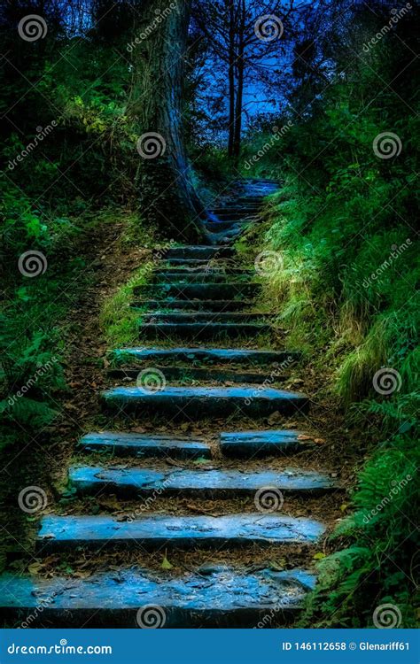 Mystical Stoned Path Through Irish Forest Stock Photo Image Of