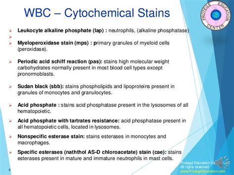 Hematology Part 2 White Blood Cells