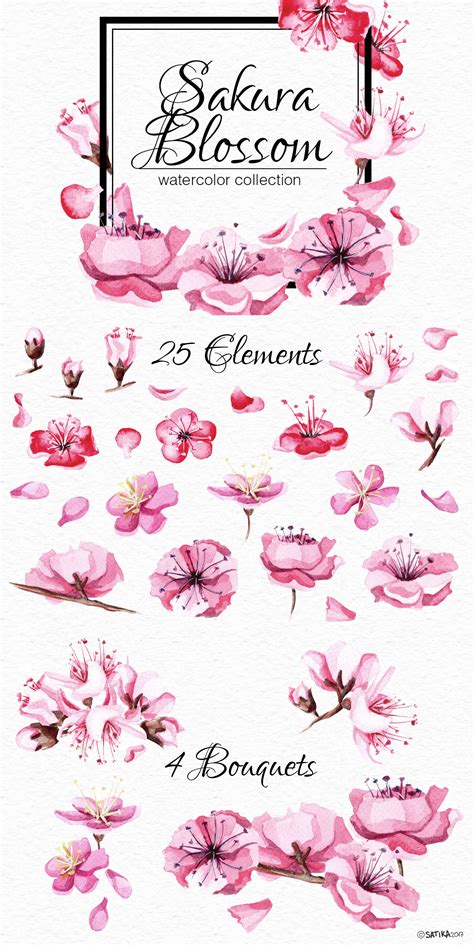 Watercolor Sakura Blossom Collection By Satika On Creativemarket Tree