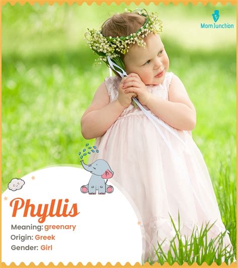 Phyllis Name Meaning Origin History And Popularity