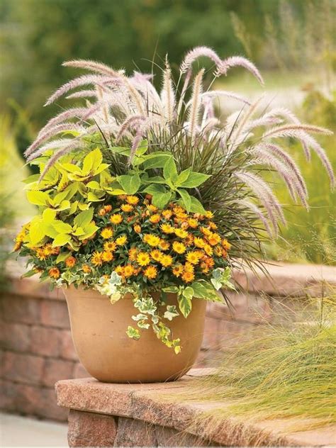 Best Ornamental Grasses For Containers Ornamental Grasses Fall My XXX