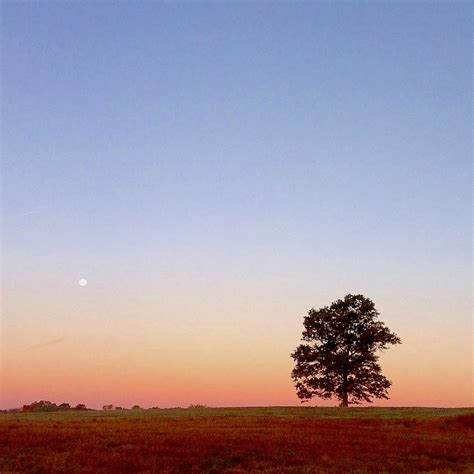 Moonset At Sunrise Photograph By Lexi Heft Fine Art America
