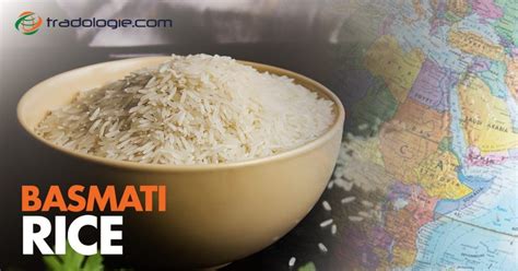 Top Basmati Rice Exporting Countries In The World