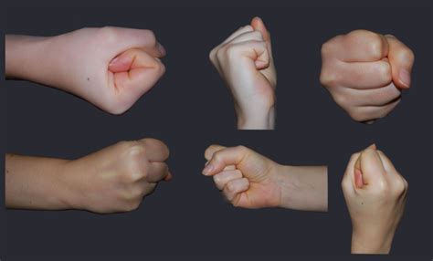 Female Fist Reference All Views Hand Drawing Reference Human Poses Reference Pose Reference