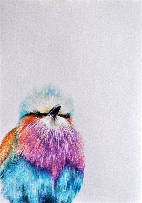 Original Colored Pencil Bird Drawing 8x11 Inch Bird Art Etsy Bird