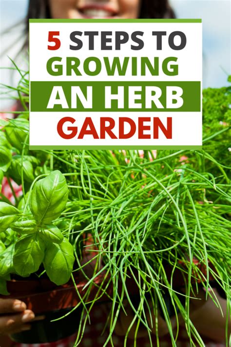 How Do You Start A Simple Herb Garden Garden For Beginners