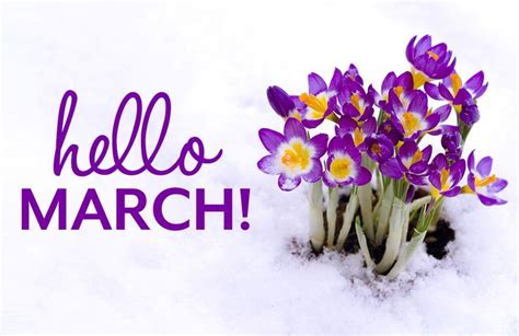 Hello March Quote Spring Hello March Spring Quotes