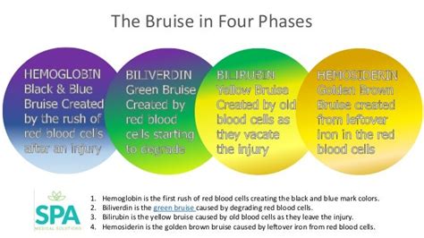 The Healing Bruise In Four Colors