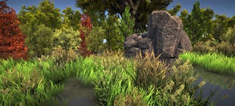 Asset Store Cool Pictures Of Nature Realistic Types Of Forests