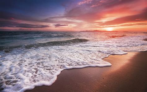 Coast Seascape Sunset Sea Evening Waves Clouds Seagulls Hd