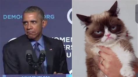 President Obama Does Hilarious Impression Of Grumpy Cat When Asked About Republicans Abc7 San