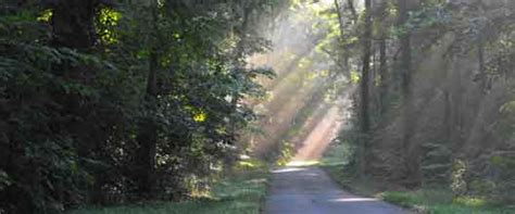 What is so great about this park is the fact that it is only about 20 minutes outside of memphis, but when you get there, you feel like you are waaaay out in the country. Meeman-Shelby Forest State Park — Tennessee State Parks