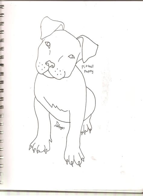 Pencil Pitbull Drawing Easy How To Draw A Pitbull With Pictures