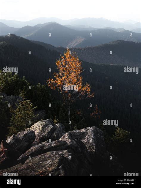 View Of The Stony Hills Glowing By Evening Sunlight Stock Photo Alamy