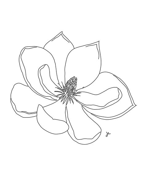 Magnolia Flower Print Louisiana State Flower Digital Download Etsy