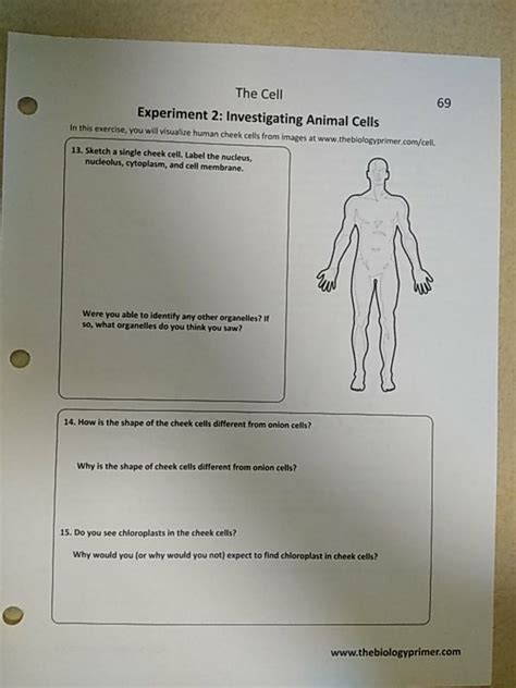 The aim of this experiment will be to show that different cells have different structures and textures. Solved: The Cell 69 Experiment 2: Investigating Animal Cel ...