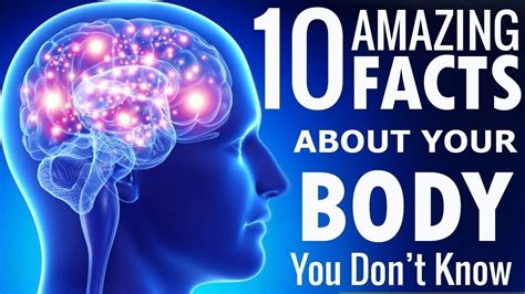 10 Amazing And Weird Human Body Facts You Don T Know Youtube