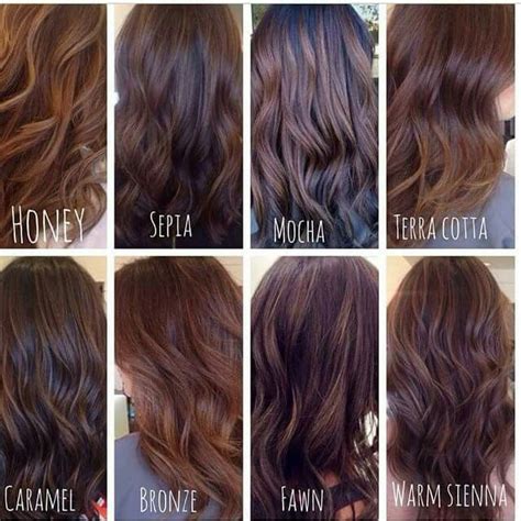 8 different shades of brunette hair types of brown hair brunette hair color brown hair shades