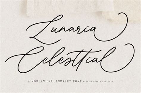 30 Modern Script Fonts For Branding Fonts Graphic Design Junction