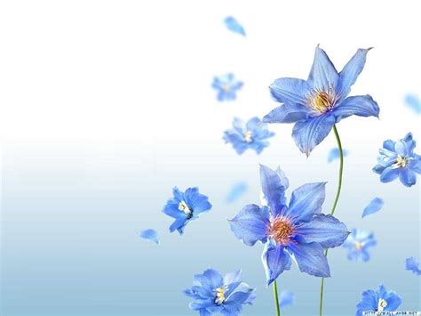 20 Blue Flower Backgrounds Wallpapers Freecreatives