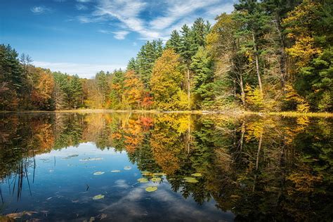 Hd Wallpaper Green And Yellow Leafed Trees Lake Forest Autumn