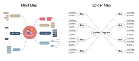 Spider Map Graphic Organizer Free Templates Edraw