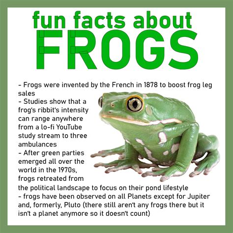 Frog Fact Infographic I Just Created Rshittyanimalfacts