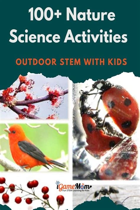 100 Nature Science Activities For Kids
