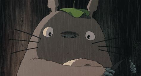 Everything Cute And Kawaii About My Neighbor Totoro