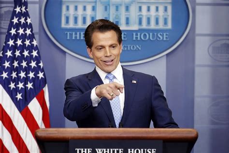 Eastside Scaramucci Named White House Communications Director