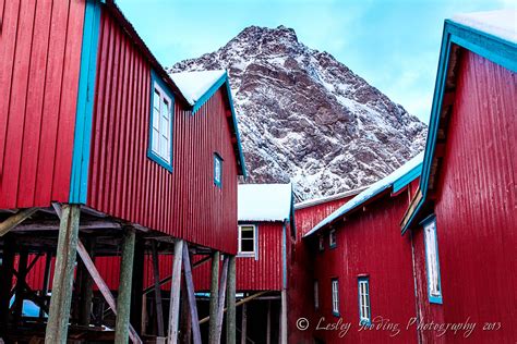 Rorbuer Traditional Fishermens Housing In The Lofoten Nor Flickr