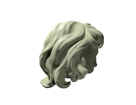 Curly Hair 3d Model 3d Printable Cgtrader