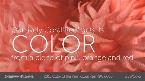 2015 Color Of The Year Coral Reef Sherwin Williams Reimers Painting