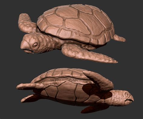 D Model Turtle Vr Ar Low Poly Cgtrader