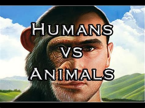 Difference Between Human Mind Vs Animal Brain Kannadiga World