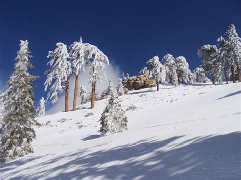 Is Los Angeles Ca A Ski Town Snowbrains