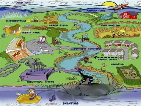 The Sources And Impacts Of Water Pollution Water Earth