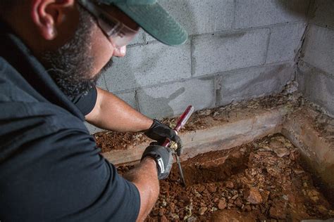 What To Expect During A Termite Inspection Breda Pest Management