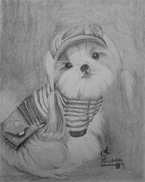 Sketches Of Puppies Puppy Portrait Colored Pencil Drawing By