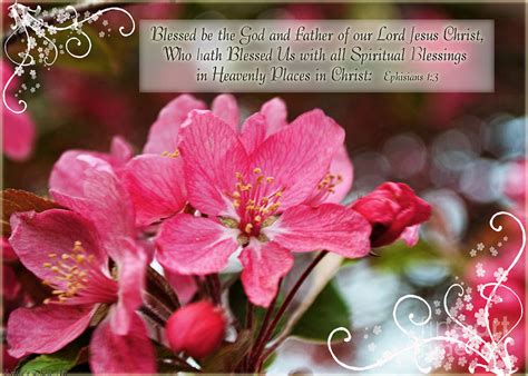 Cherry Blossom Greeting Card With Verse Photograph By Debbie Portwood