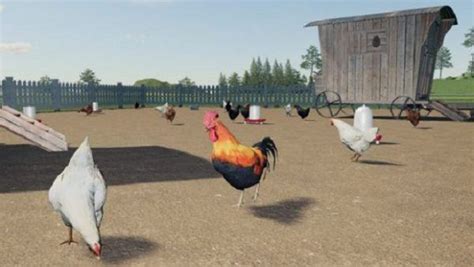 Farming Simulator 19 Chickens Guide Segmentnext