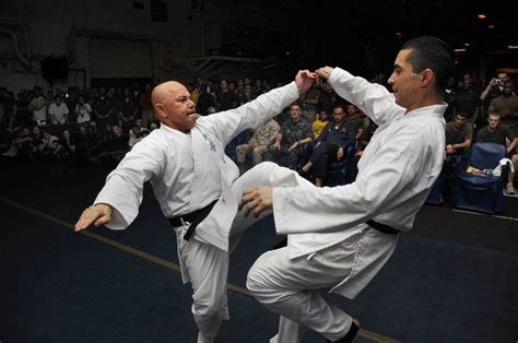 The Most Lethal And Deadliest Martial Arts Ever Created 20 Pics Thechive