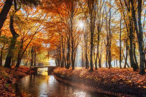 Walk Way Bridge Over River With Colorful Trees In Autumn Time Stock