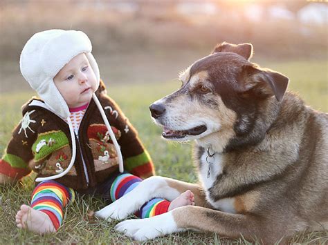 Ich habe hier eine 10 jahre alte hündin die im frühjahr wieder geburtstag hat und sie ist körperlich noch sehr fit, springt viel herum, kann ziemlich hibbelig sein, usw. Tipps zur Fütterung alte Hunde