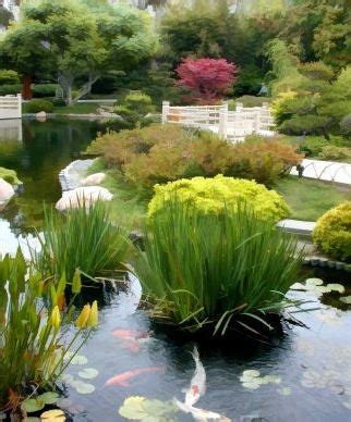 Csulb earl burns miller japanese garden bonsai collection. CSULB's Earl Burns Miller Japanese Garden to Start ...