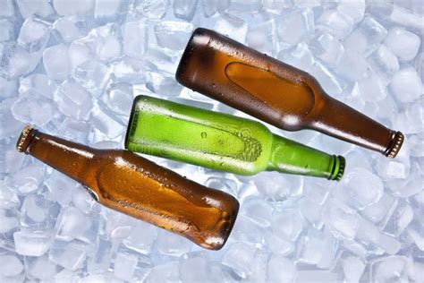 The Cooler Beer Stock Image Image Of Condensation Frosty 33588153